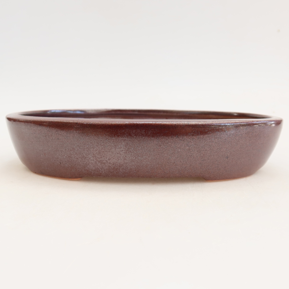 Keramik-Bonsai-Schale 22 x 17 x 4 cm, Farbe: weinrot
