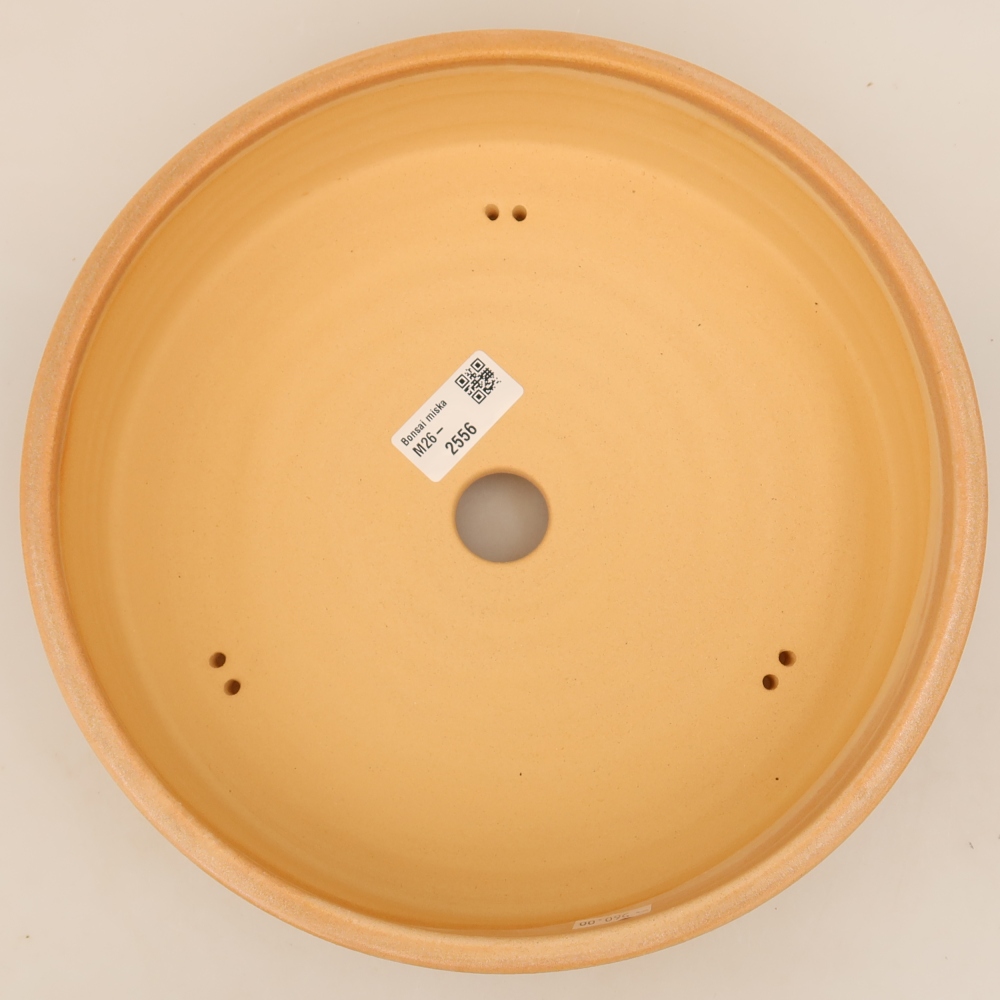 Keramik-Bonsai-Schale 26 x 26 x 6,5 cm, Farbe: Beige
