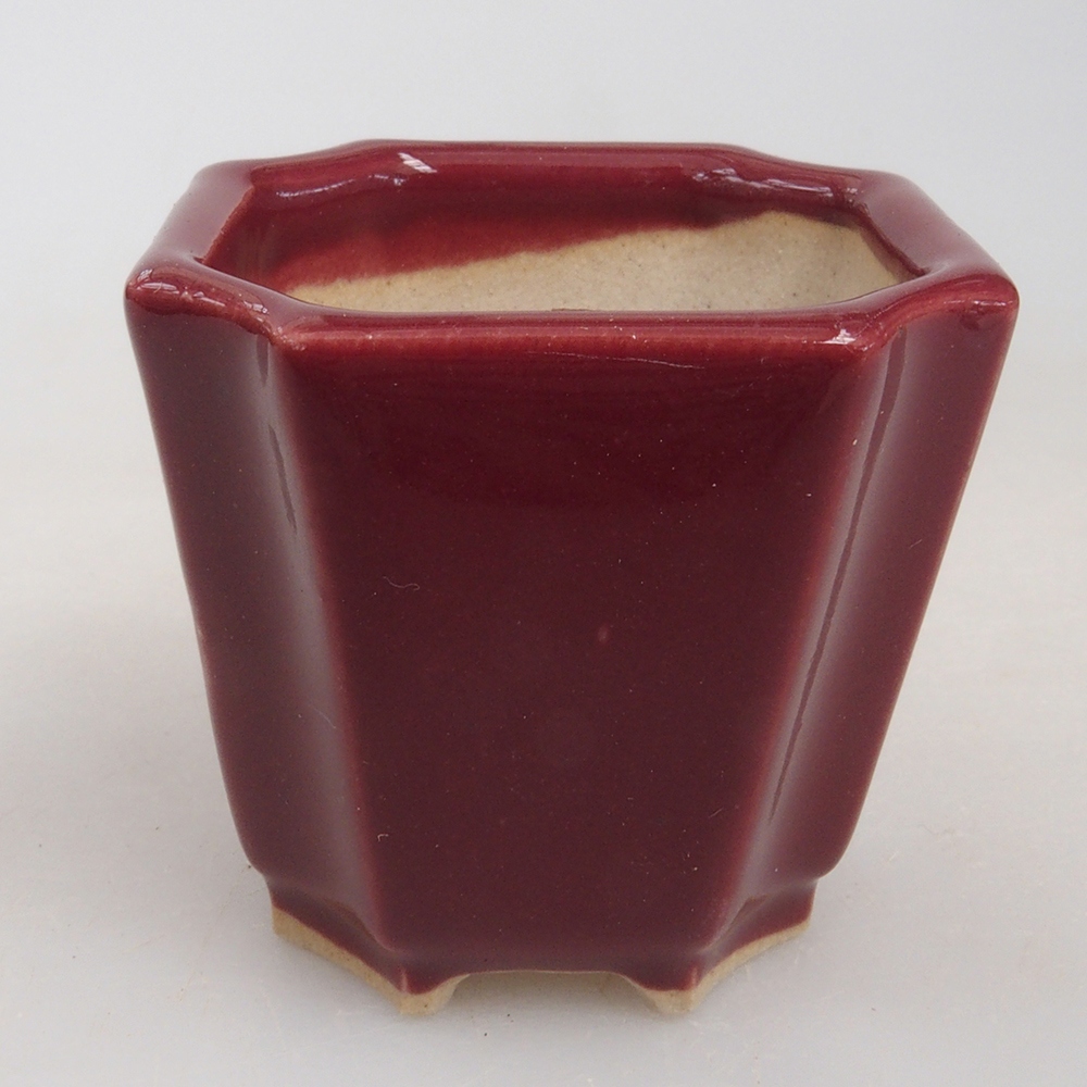 Mini-Bonsaischale 4 x 4 x 4 cm, bordeauxrot