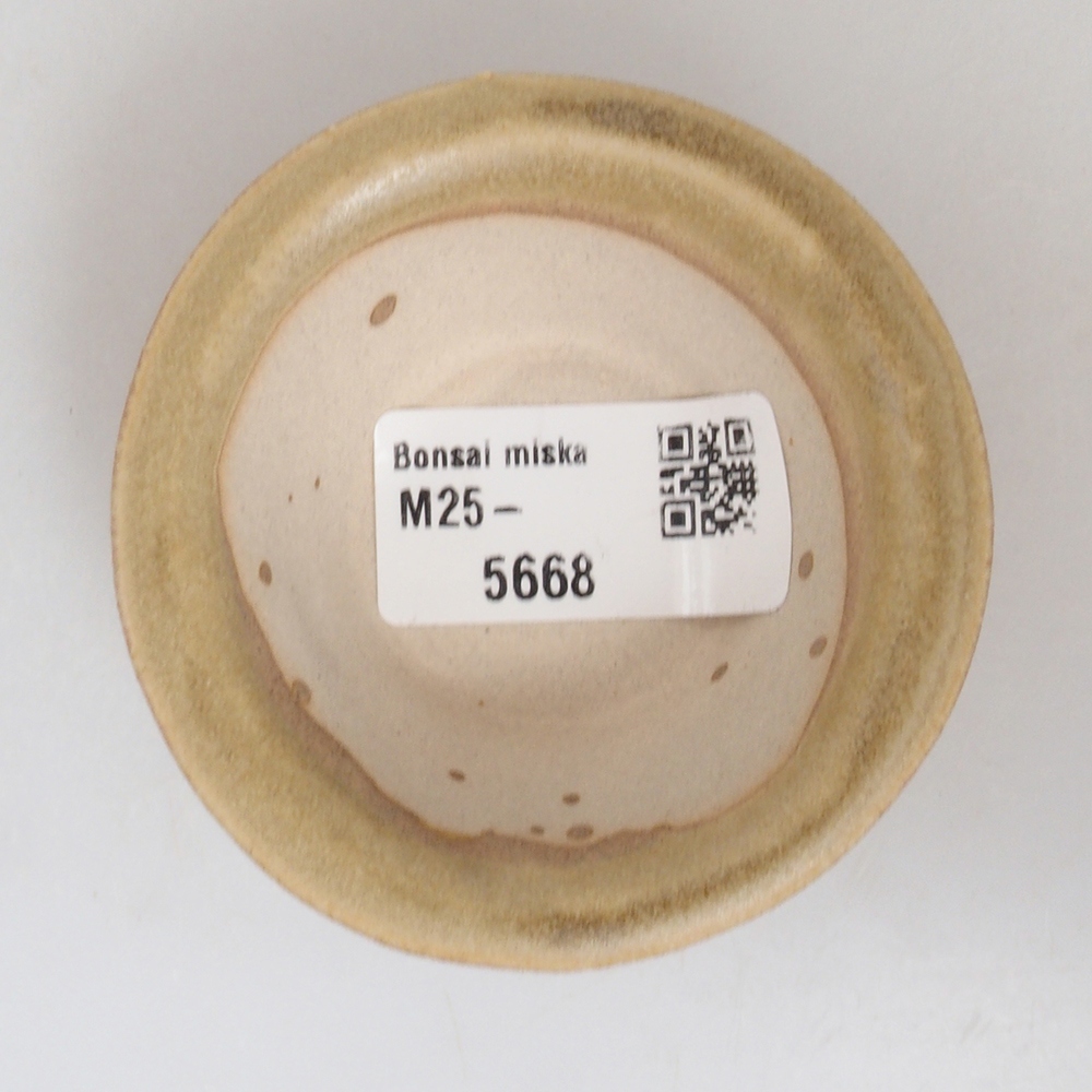 Mini-Bonsaischale 7 x 7 x 2,5 cm, braun