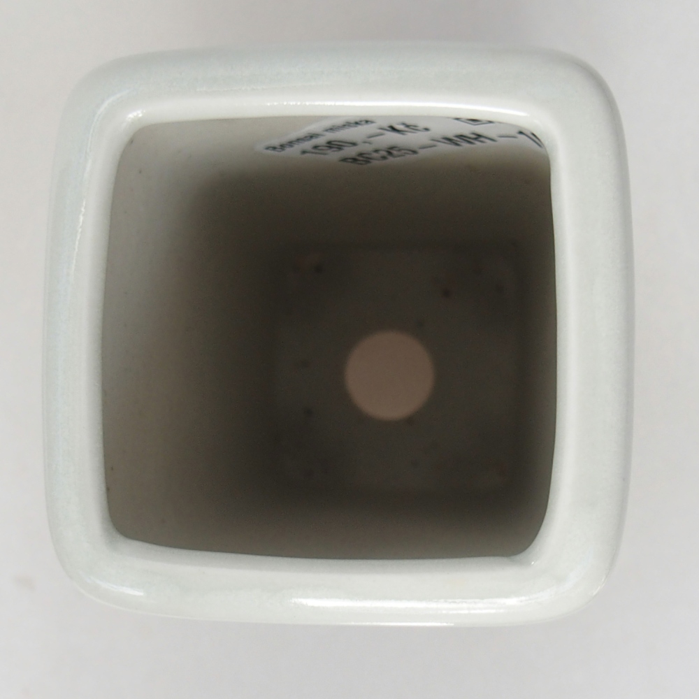 Bonsaischale aus Keramik 5,5 x 5,5 x 12 cm, Farbe weiß