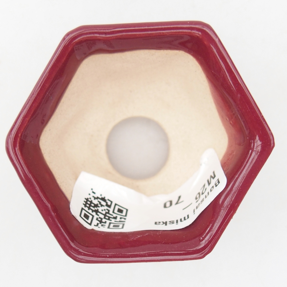 Mini-Bonsaischale 5 x 4,5 x 3 cm, bordeauxrot