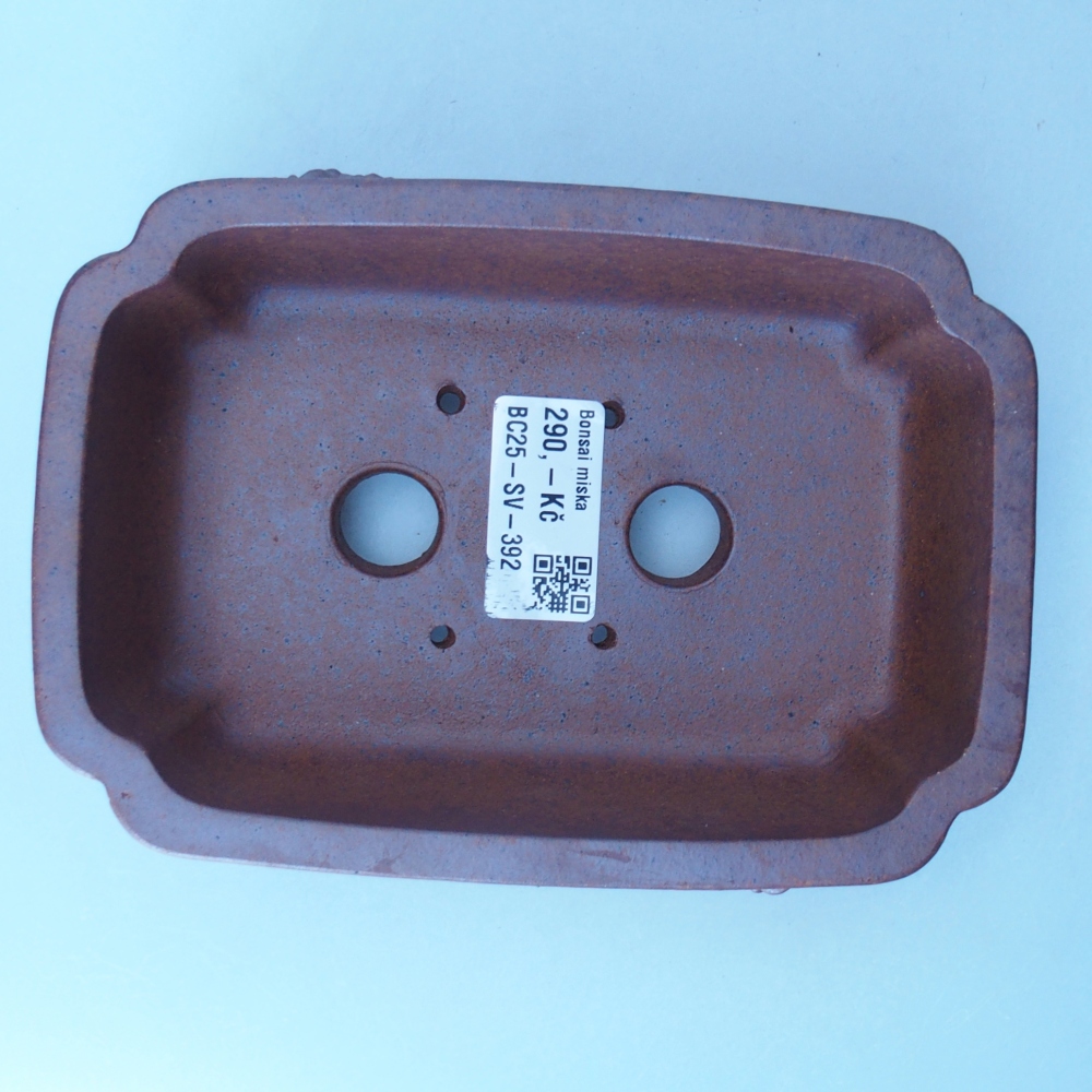 Schale 16 x 11 x 6 cm braun
