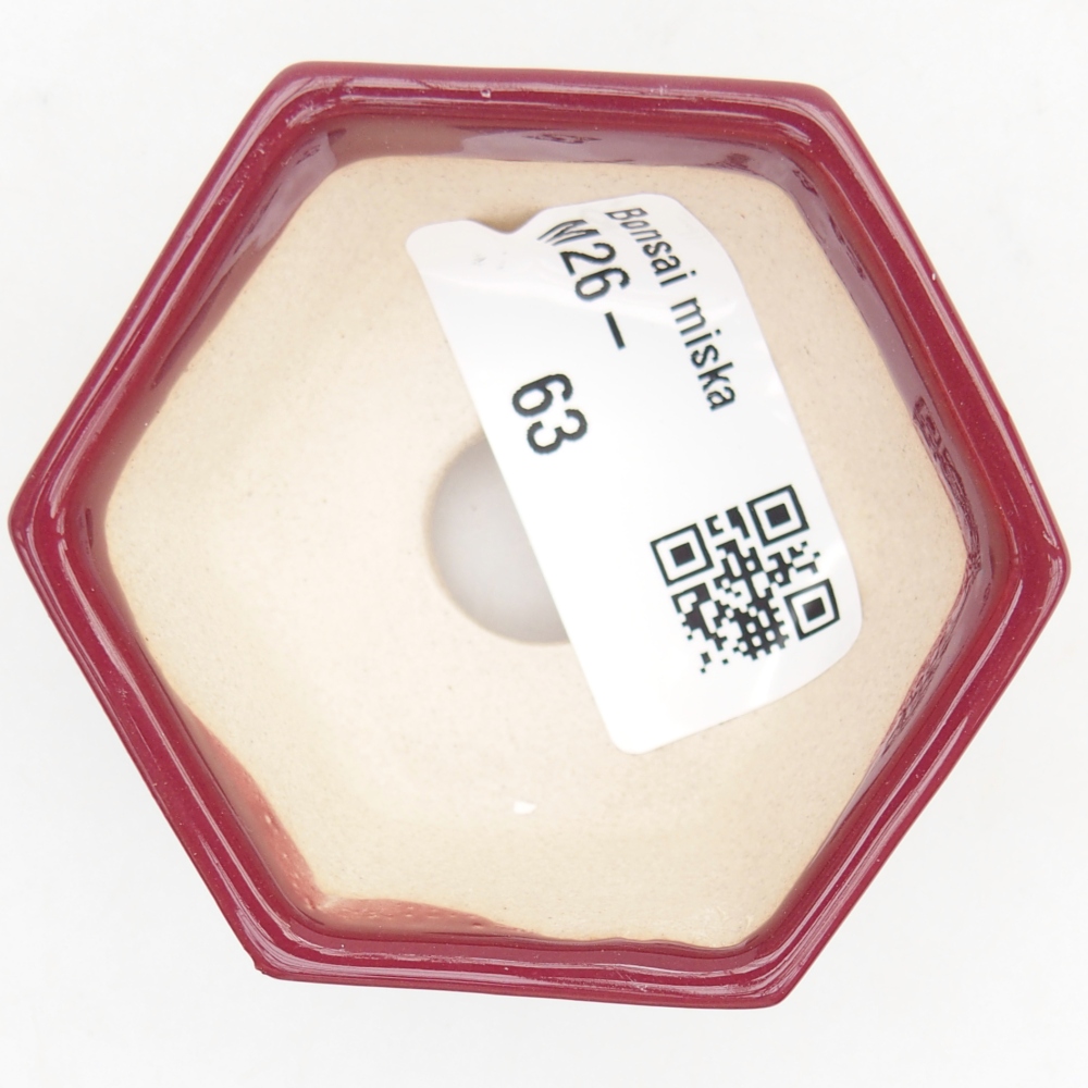 Mini-Bonsaischale 6 x 5,5 x 2,5 cm, bordeauxrot