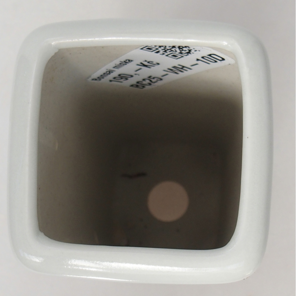 Bonsaischale aus Keramik 5,5 x 5,5 x 12 cm, Farbe weiß