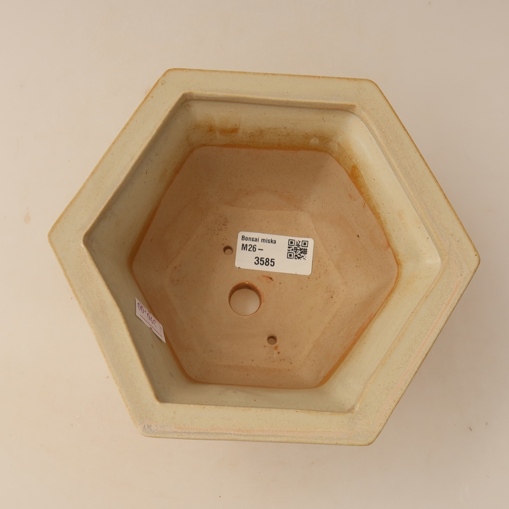 Keramik-Bonsai-Schale 18,5 x 16,5 x 9 cm, Farbe: Beige