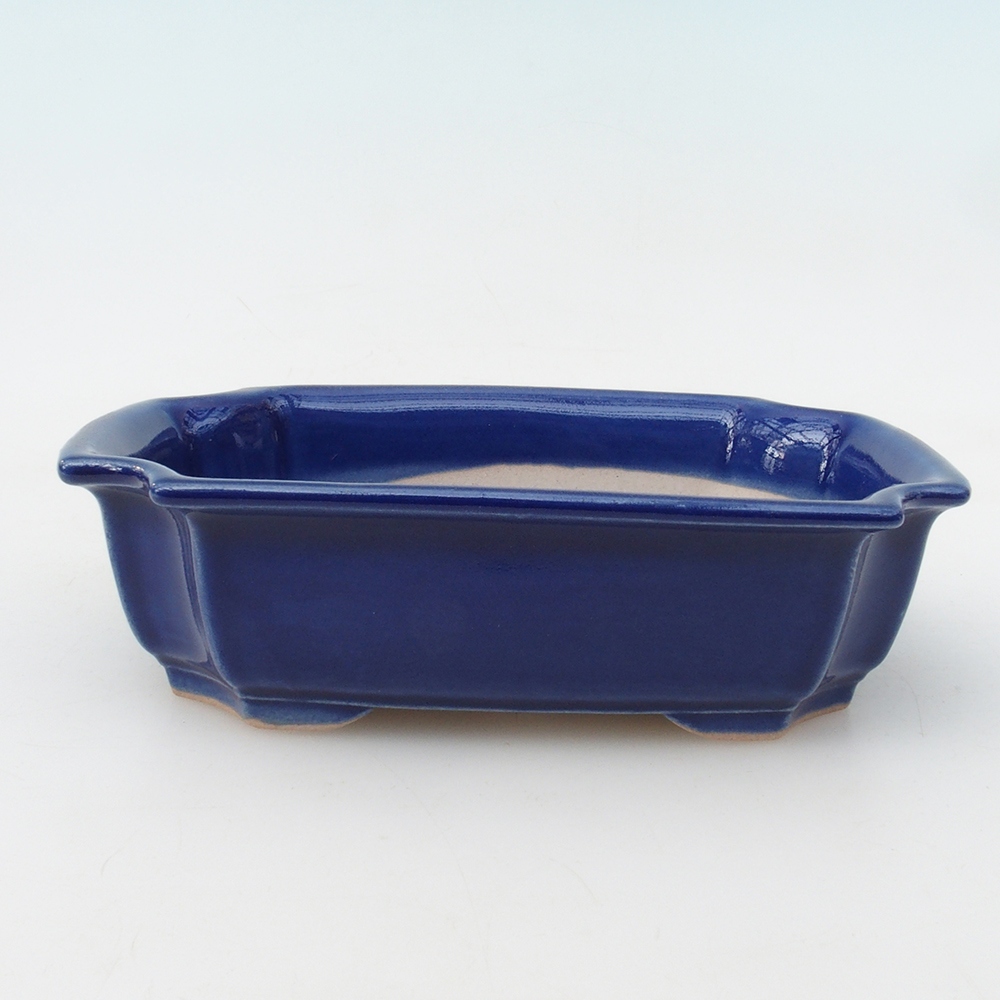 Bonsaischale H17 - 15 x 10 x 4 cm - blau