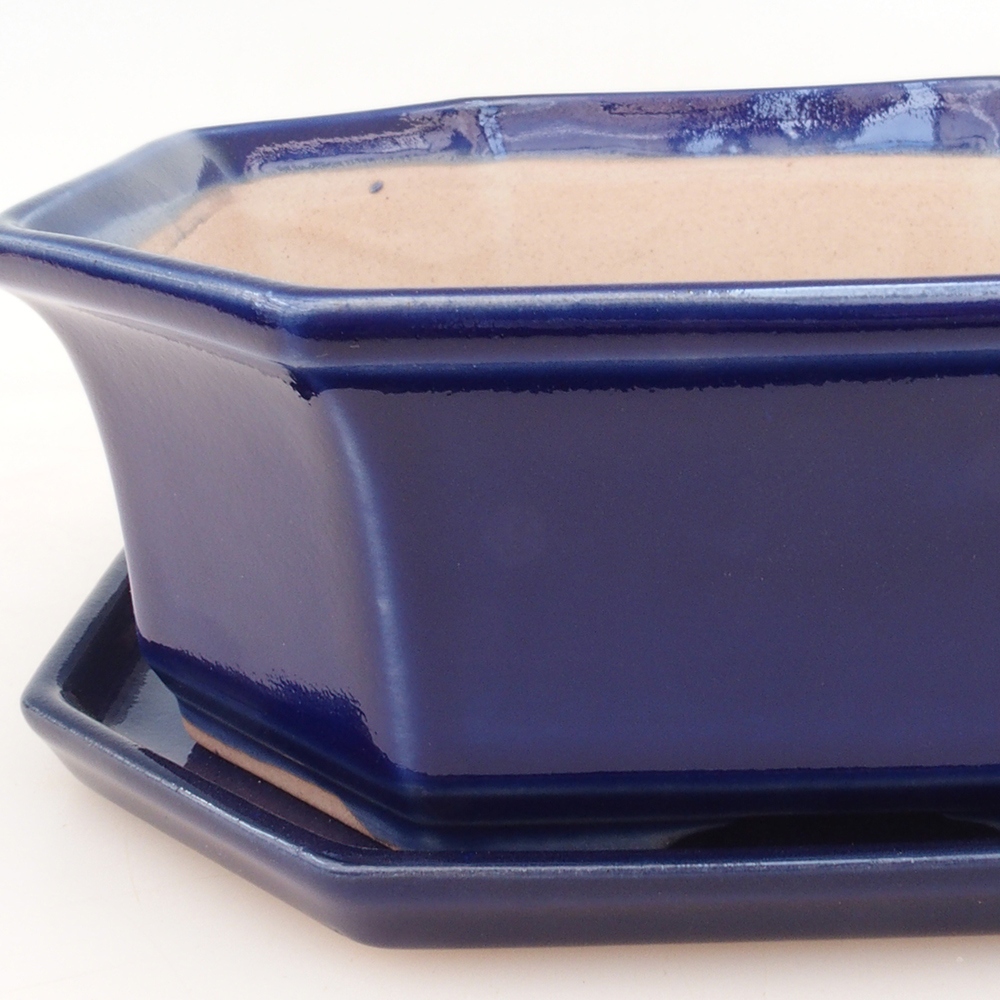 Bonsaischale + Untertasse H14 - blau