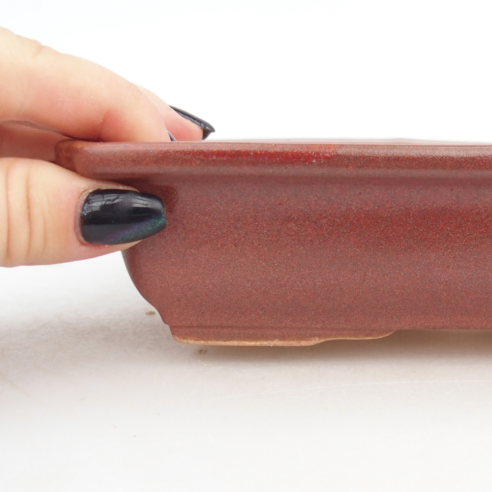 Bonsaischale aus Keramik 18 x 13,5 x 4,5 cm, bordeauxrot