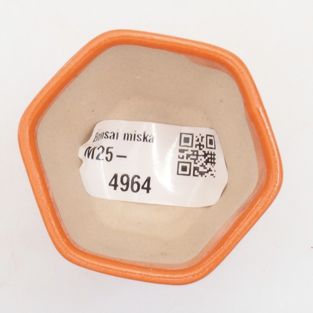 Mini-Bonsaischale 5 x 5 x 5 cm, orange