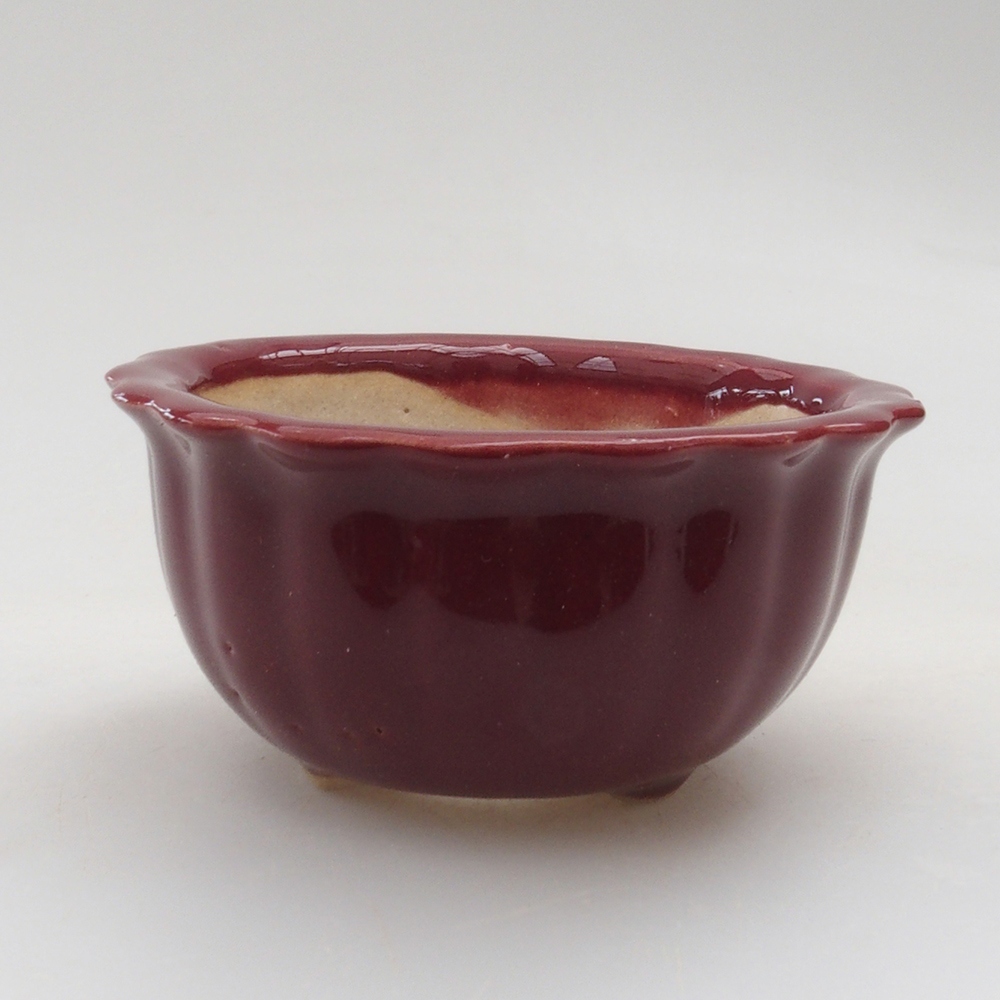 Mini-Bonsaischale 6,5 x 6,5 x 3,5 cm, bordeauxrot