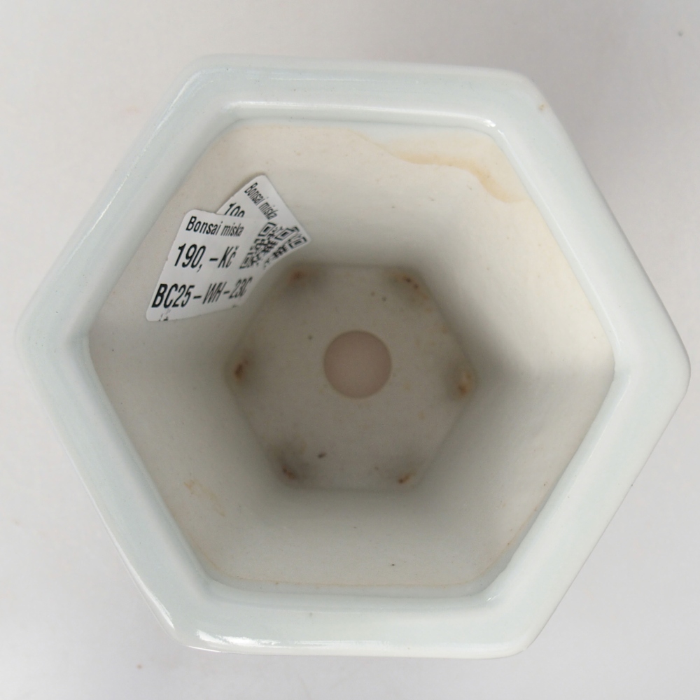 Bonsaischale aus Keramik 10 x 9 x 9 cm, Farbe weiß