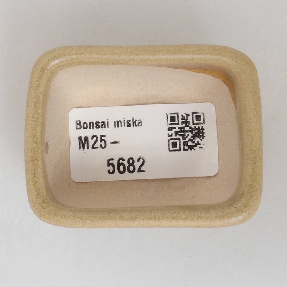 Mini-Bonsaischale 5,5 x 4,5 x 2,5 cm, braun