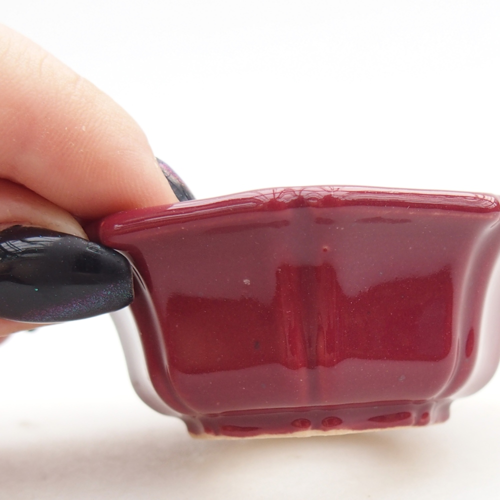 Mini-Bonsaischale 6 x 6 x 2,5 cm, bordeauxrot