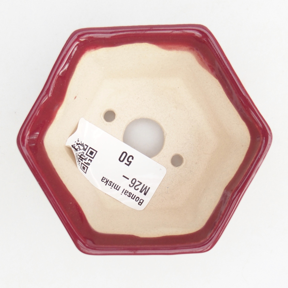 Mini-Bonsaischale 8 x 7 x 4 cm, bordeauxrot