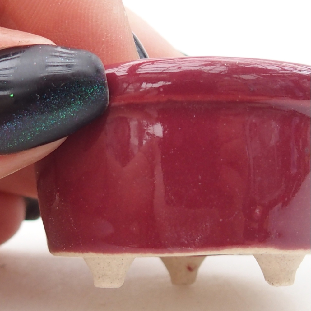 Mini-Bonsaischale 4 x 4 x 2 cm, bordeauxrot
