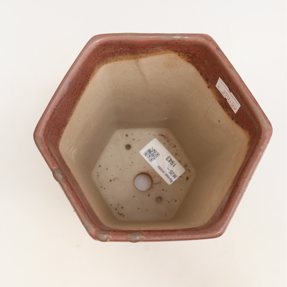 Keramik-Bonsai-Schale 13 x 12 x 17 cm, Farbe: Rosa