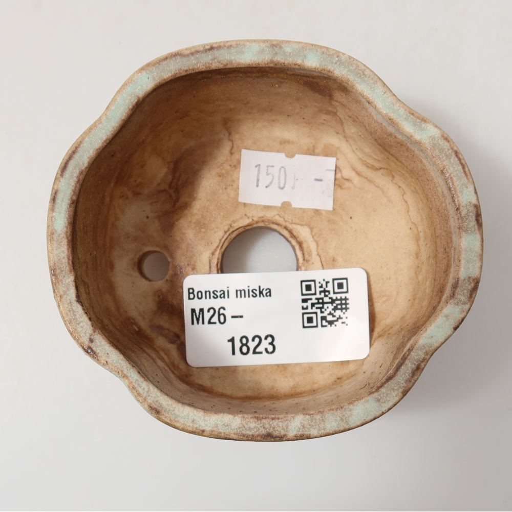 Bonsaischale aus Keramik 8 x 7,5 x 3,5 cm, grün