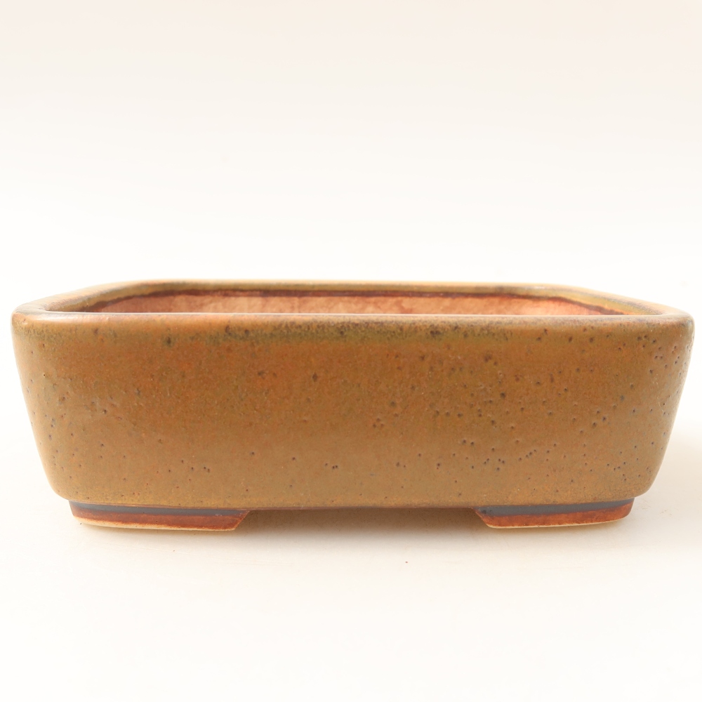 Bonsaischale aus Keramik 14 x 11,5 x 4,5 cm, braun
