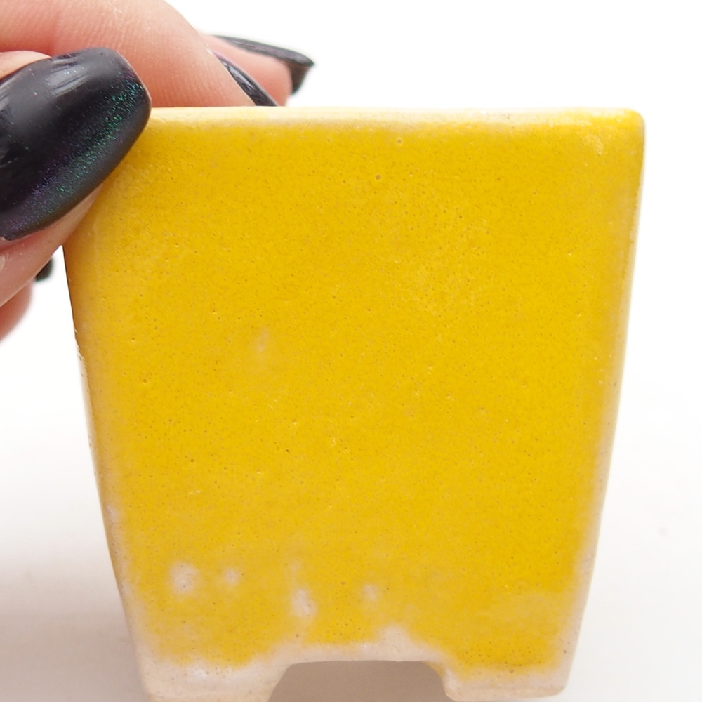 Mini-Bonsaischale 5 x 5 x 5 cm, gelb