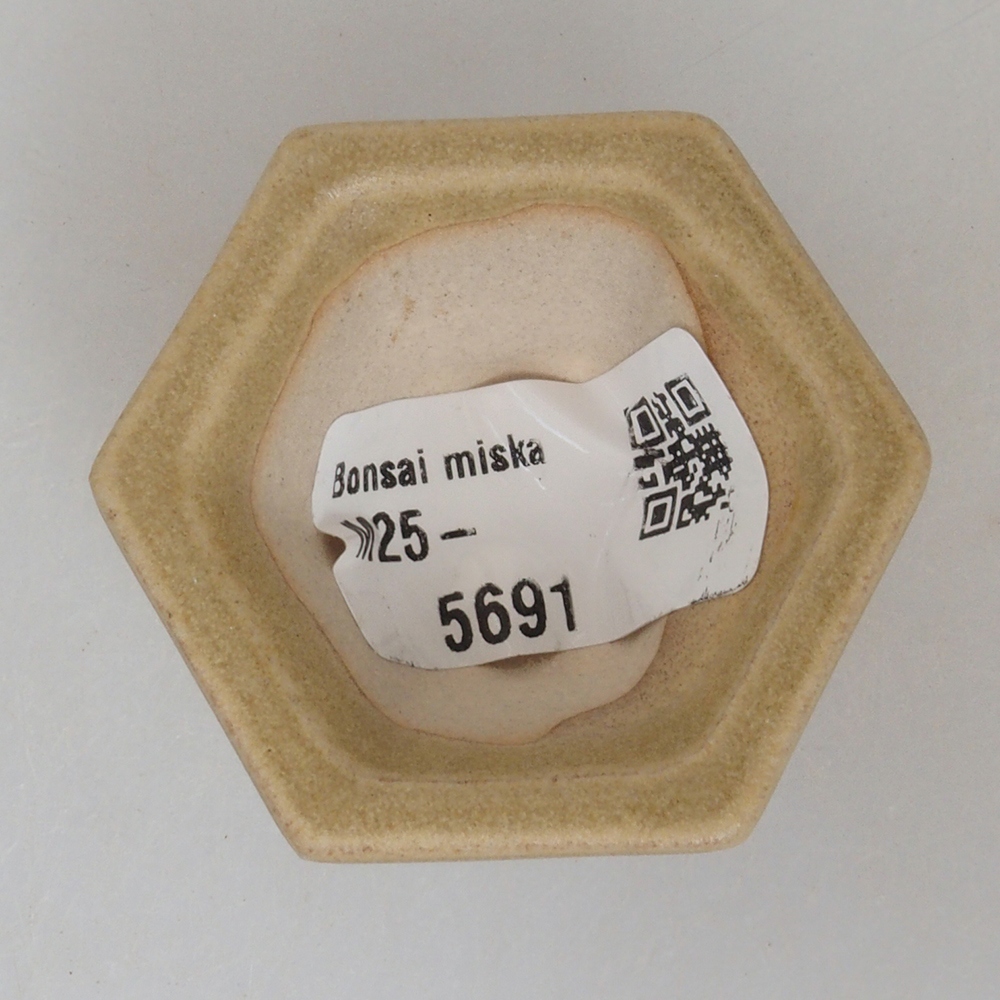 Mini-Bonsaischale 4,5 x 4,5 x 2,5 cm, braun