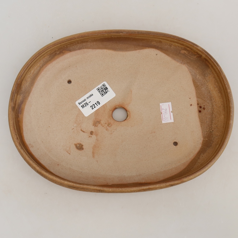 Bonsaischale aus Keramik 22,5 x 16,5 x 3 cm, Farbe beige