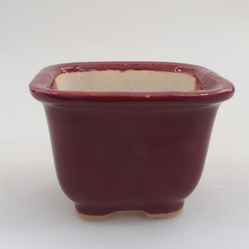 Mini-Bonsaischale 6 x 6 x 4,5 cm, bordeauxrot