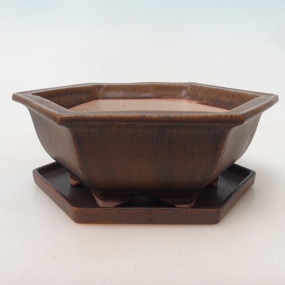 Bonsaischale + Untertasse H53 - 19 x 21,5 x 7 cm.