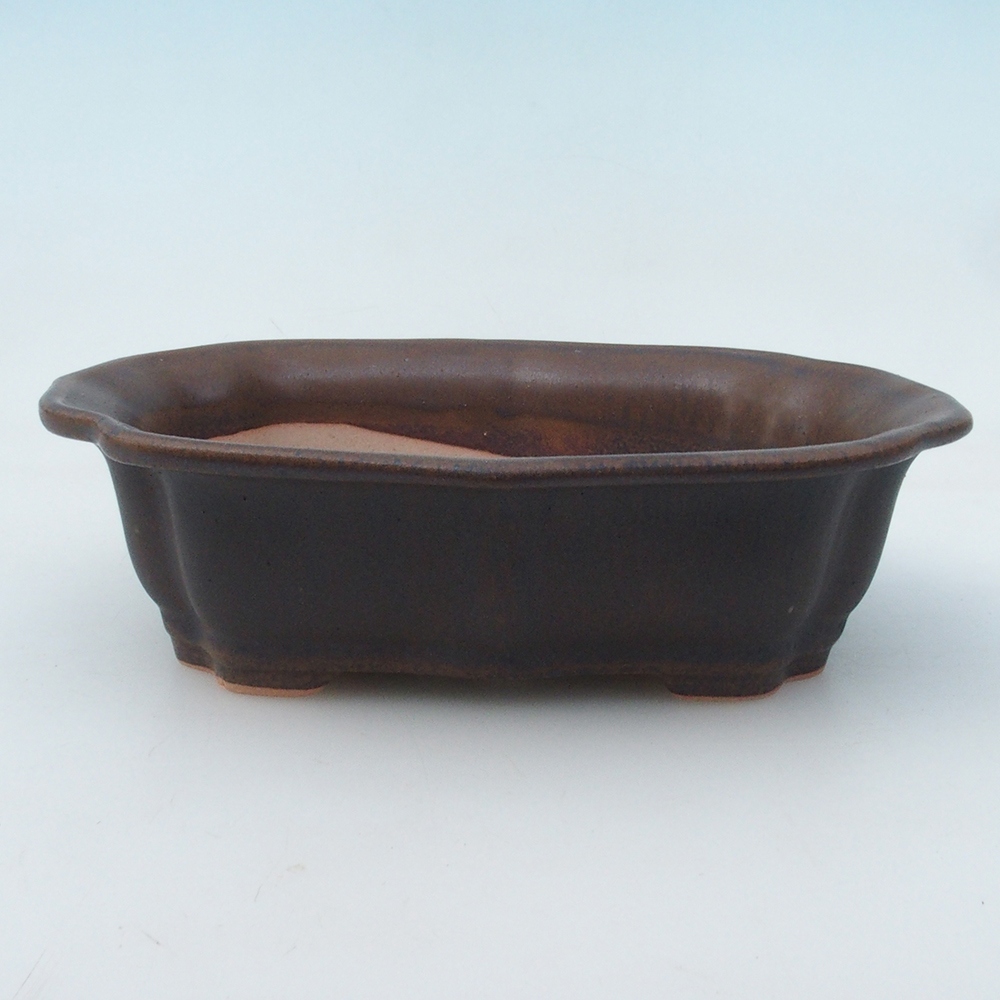 Bonsaischale + Untertasse H51 - 18x14x5 cm - braun