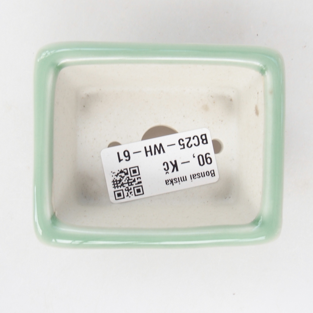Mini-Bonsaischale 8 x 6,5 x 3 cm, grün