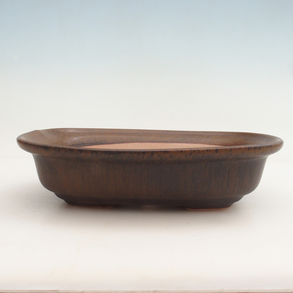 Bonsaischale + Untertasse H25 - 23 x 17 x 5,5 cm - braun