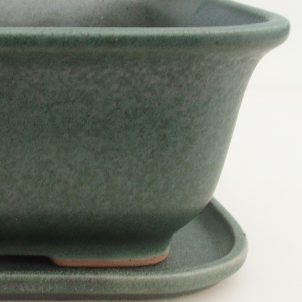 Bonsaischale + Untertasse H36 - 17 x 15 x 7,5 cm - grün