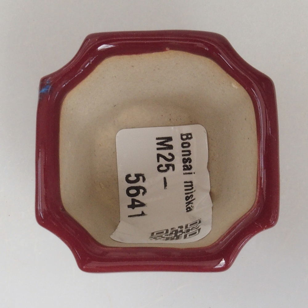 Mini-Bonsaischale 4 x 4 x 4 cm, bordeauxrot