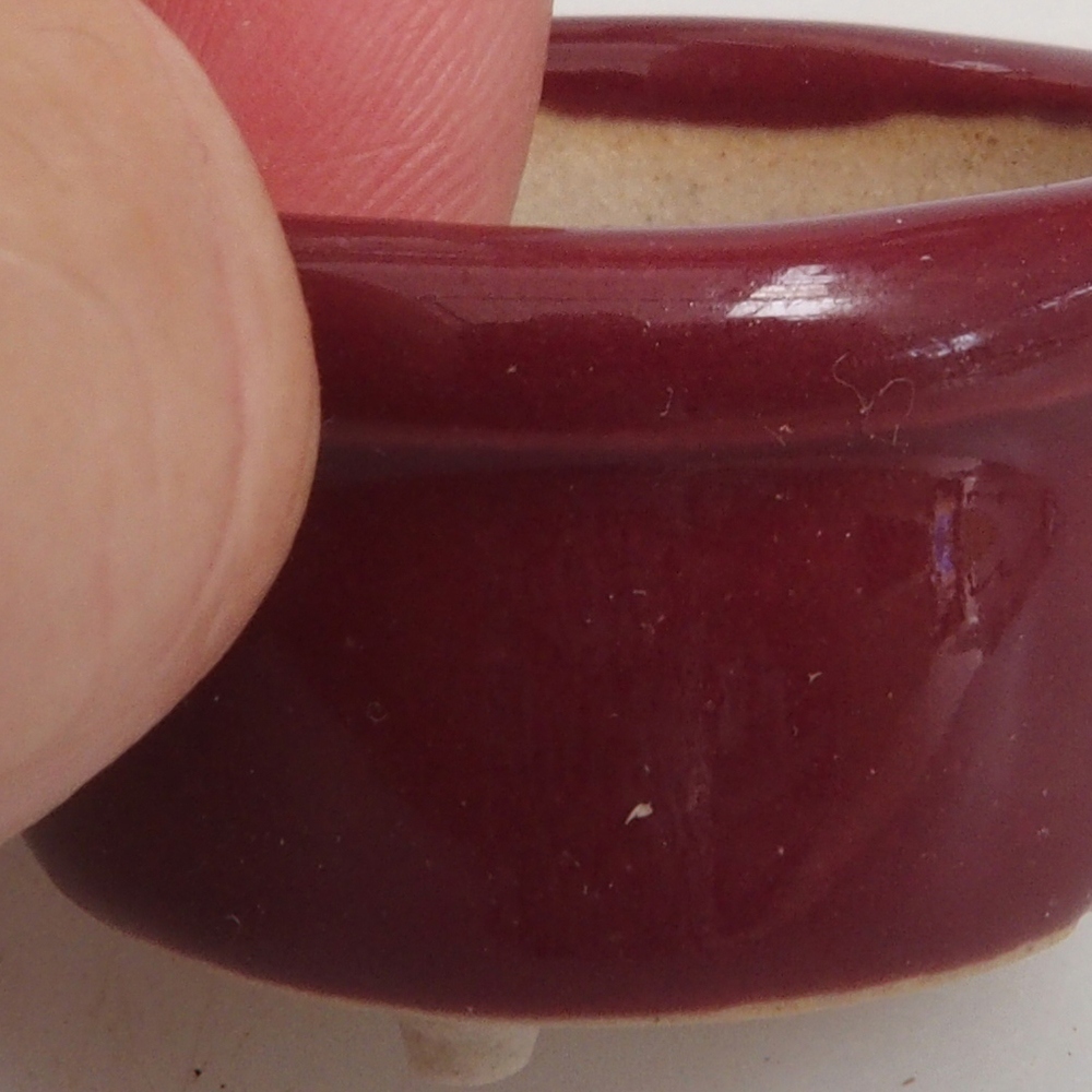 Mini-Bonsaischale 3,5 x 3,5 x 2 cm, bordeauxrot