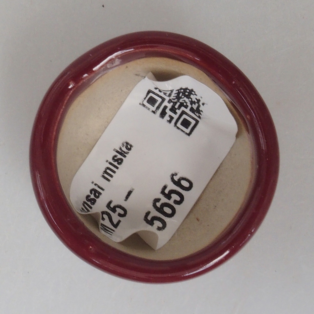 Mini-Bonsaischale 3,5 x 3,5 x 2,5 cm, bordeauxrot