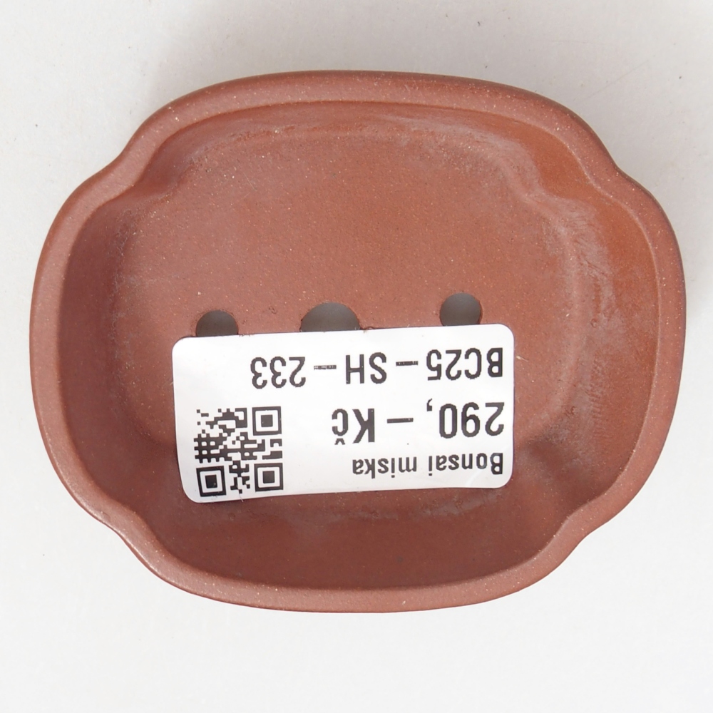 Schale 7 x 6 x 2 cm ziegelfarben