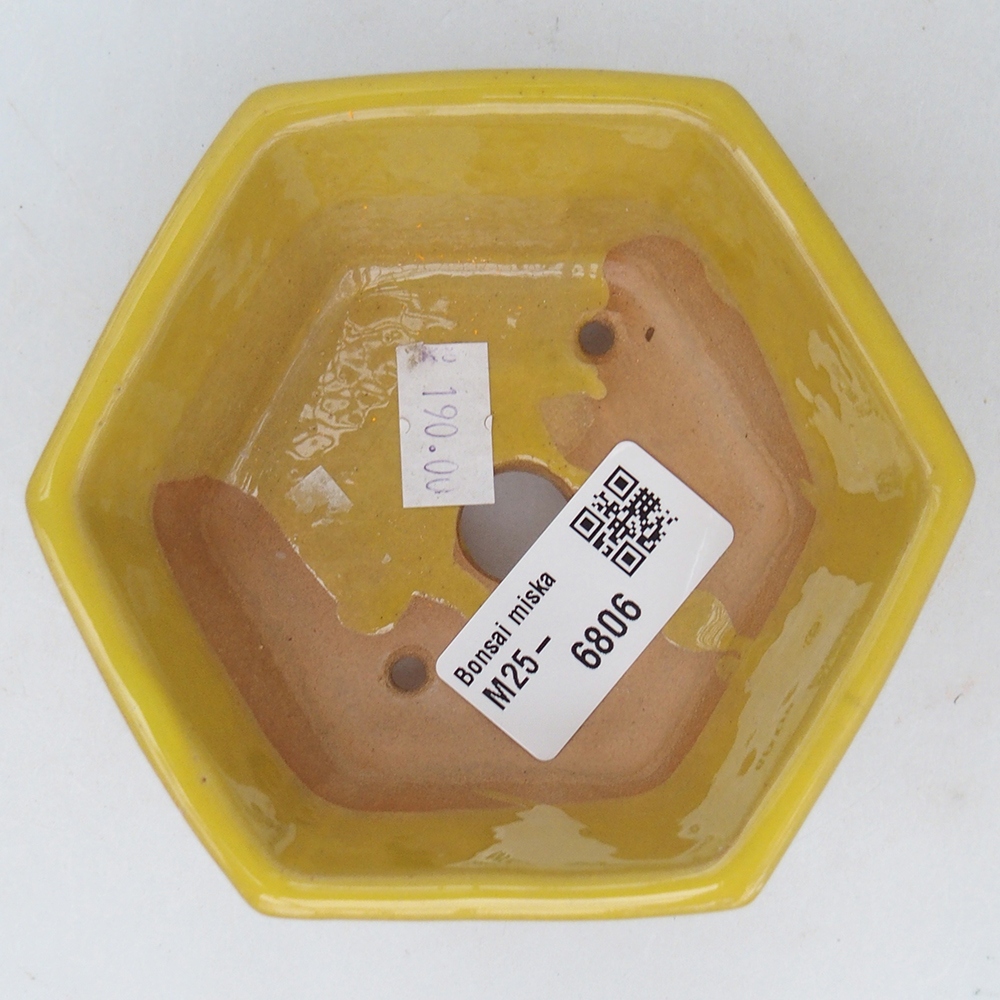 Bonsaischale aus Keramik 10,5 x 9,5 x 5 cm, gelb