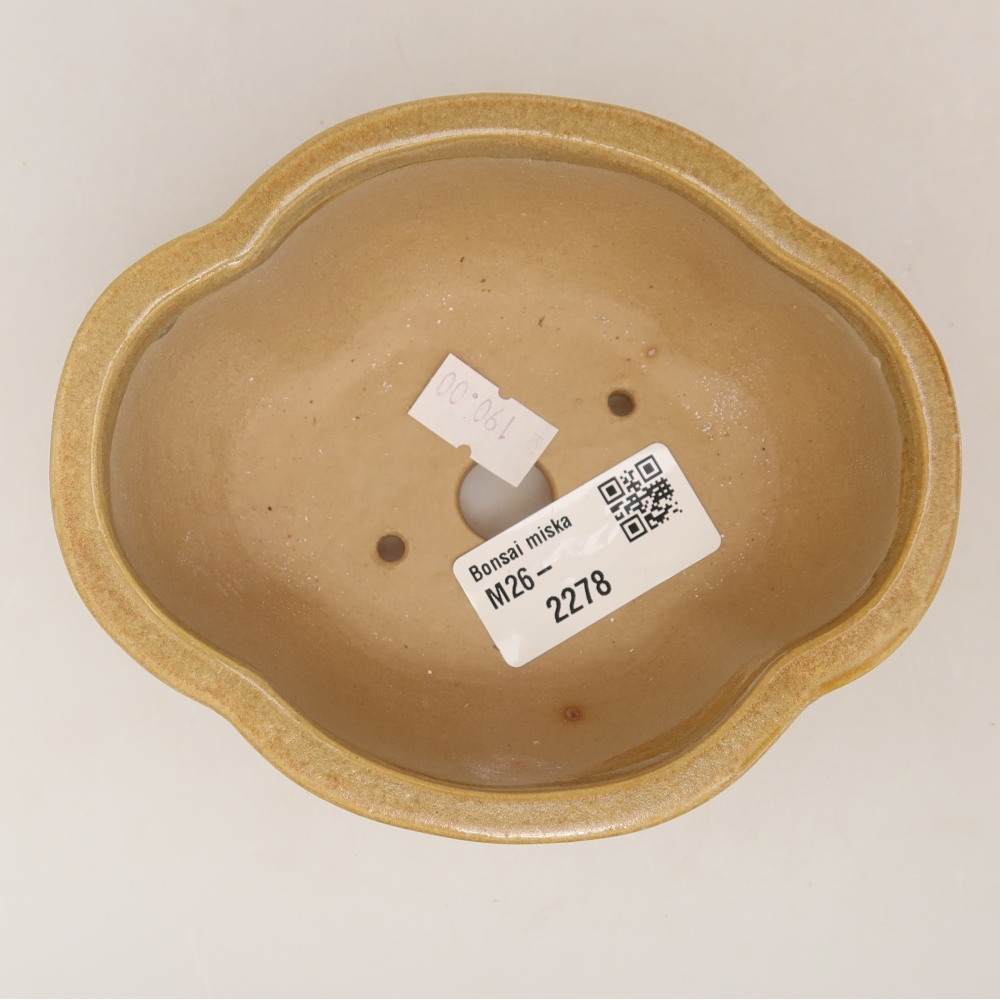 Keramik-Bonsai-Schale, 12,5 x 10,5 x 4,5 cm, Farbe: Beige