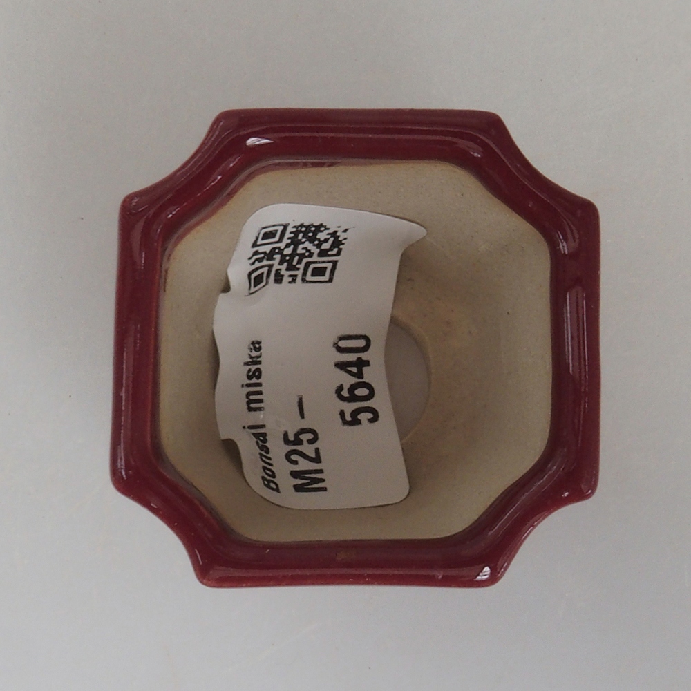 Mini-Bonsaischale 4 x 4 x 4 cm, bordeauxrot