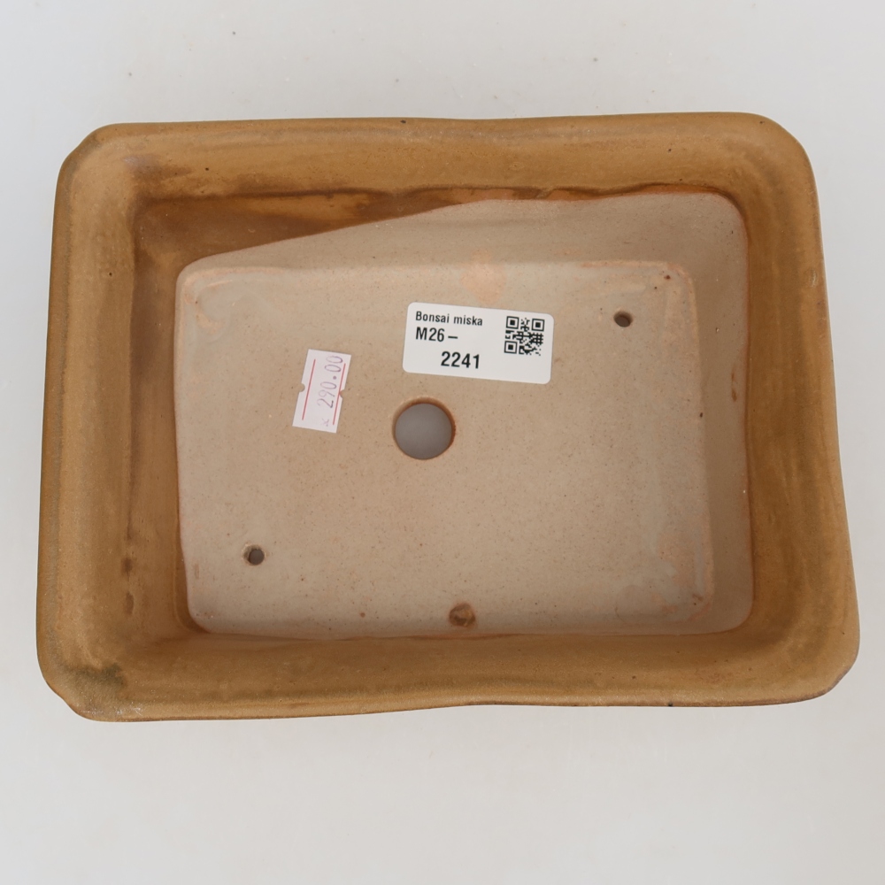 Bonsaischale aus Keramik 18 x 14 x 7 cm, Farbe beige