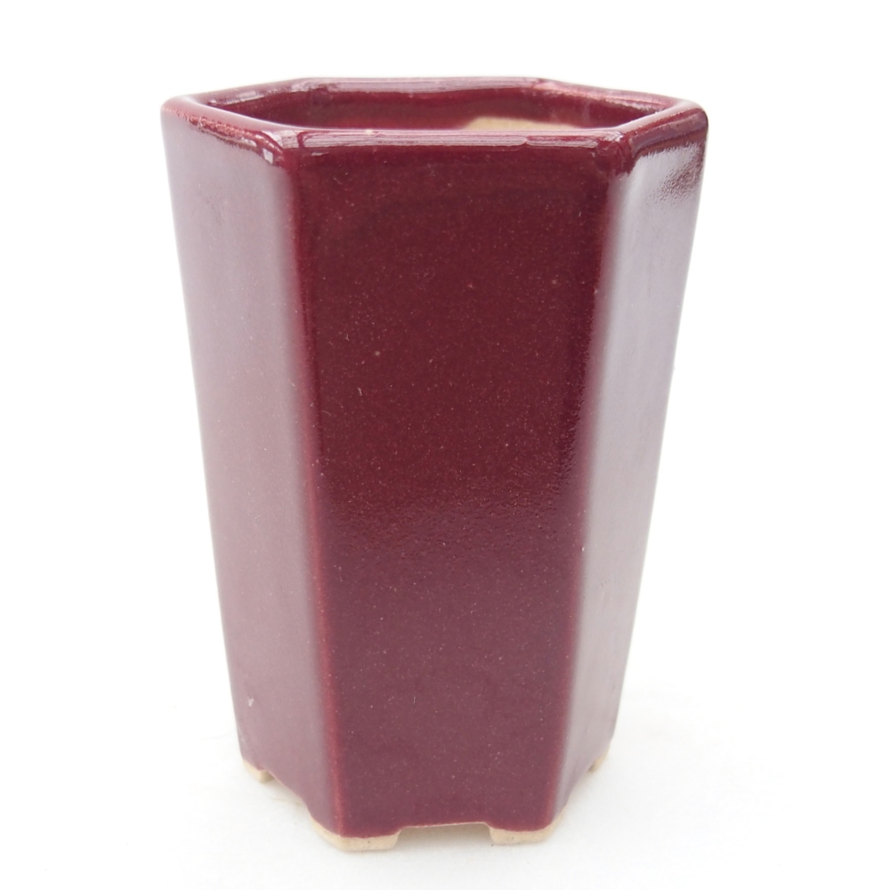 Mini-Bonsaischale 5 x 4,5 x 6,5 cm, bordeauxrot