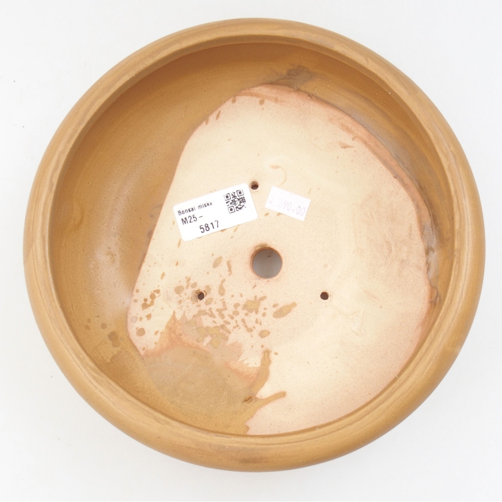 Bonsaischale aus Keramik 21 x 21 x 7,5 cm, Farbe beige