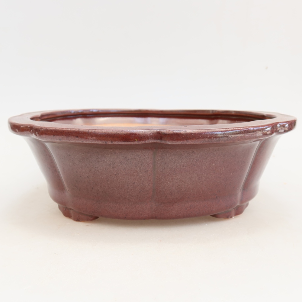 Bonsaischale aus Keramik 26 x 26 x 8 cm, bordeauxrot
