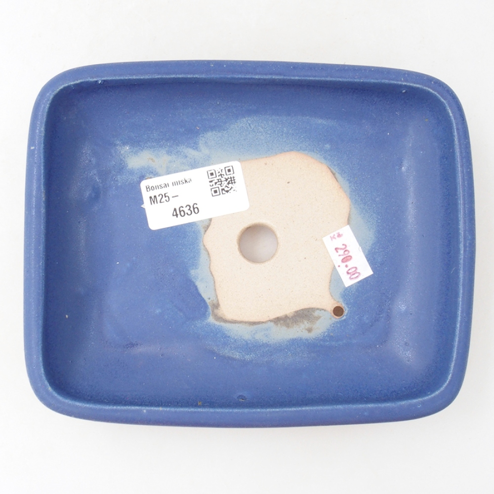 Bonsaischale aus Keramik 17 x 13,5 x 3,5 cm, Farbe blau