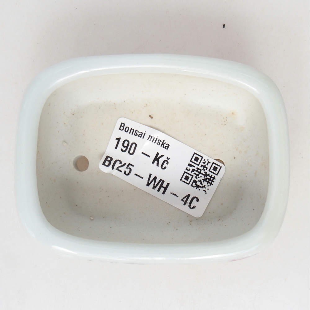 Mini-Bonsaischale 8 x 6 x 3 cm, weiß