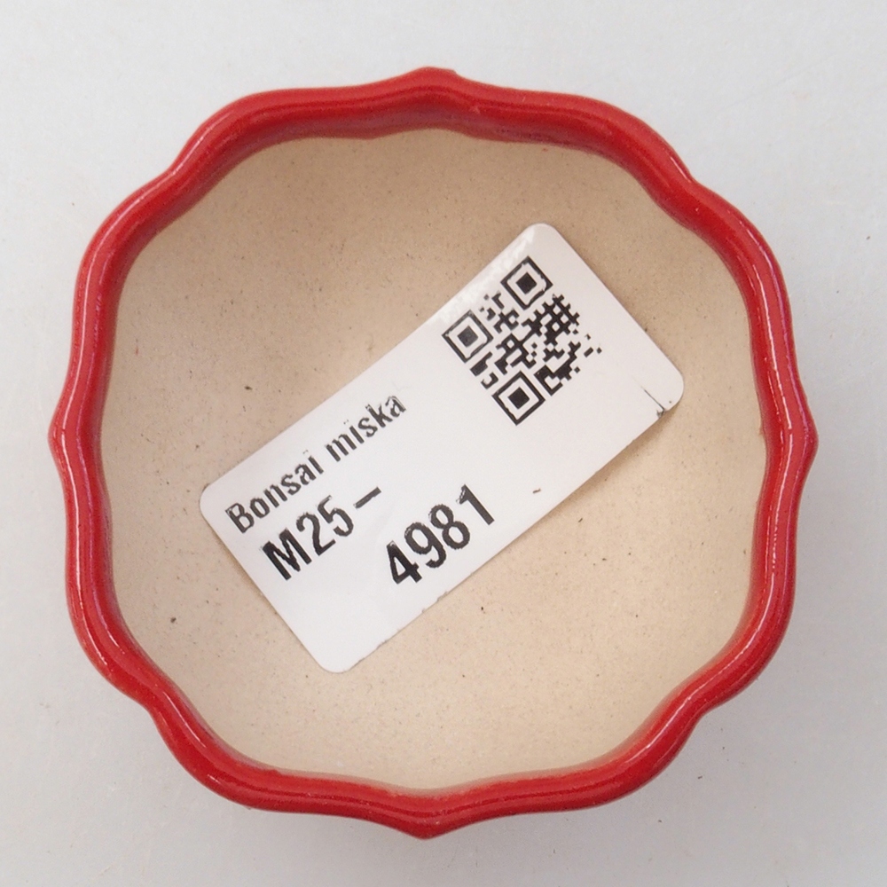 Mini-Bonsaischale 6 x 5,5 x 2,5 cm, Farbe rot