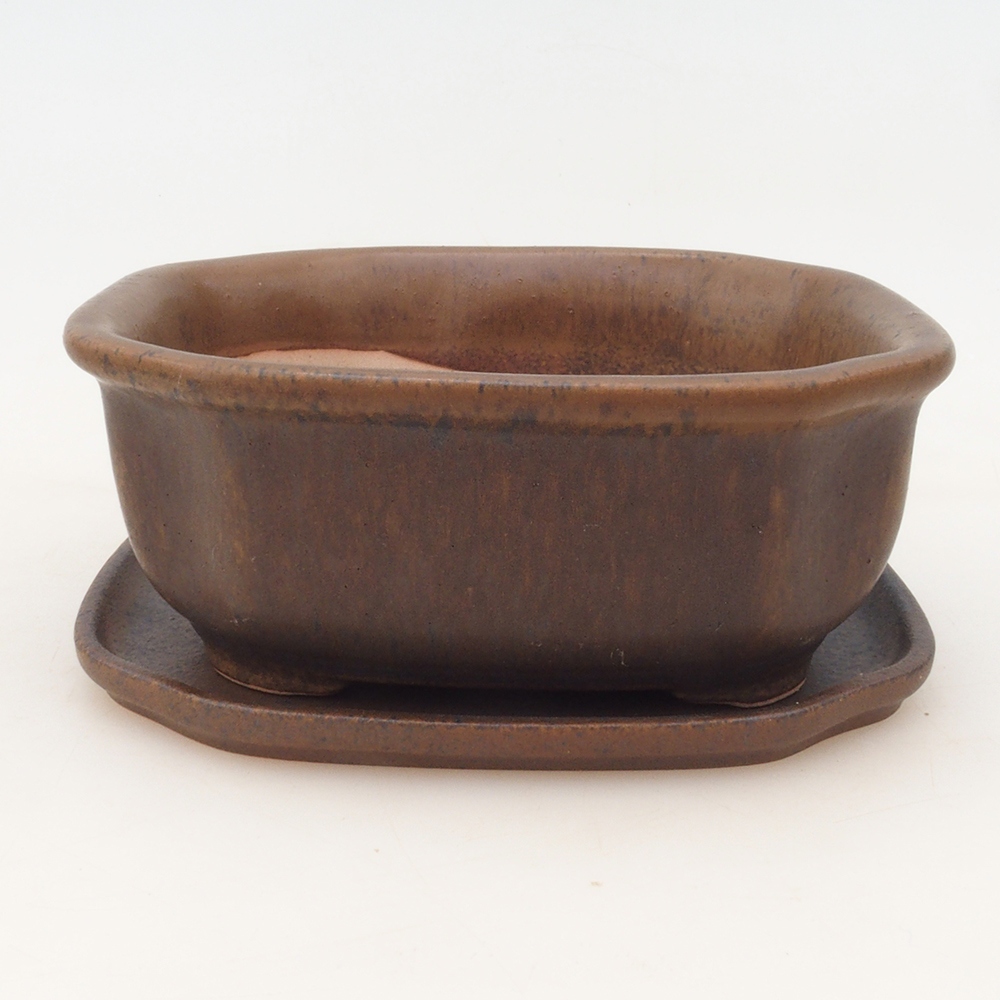 Bonsaischale + Untertasse H31 - braun