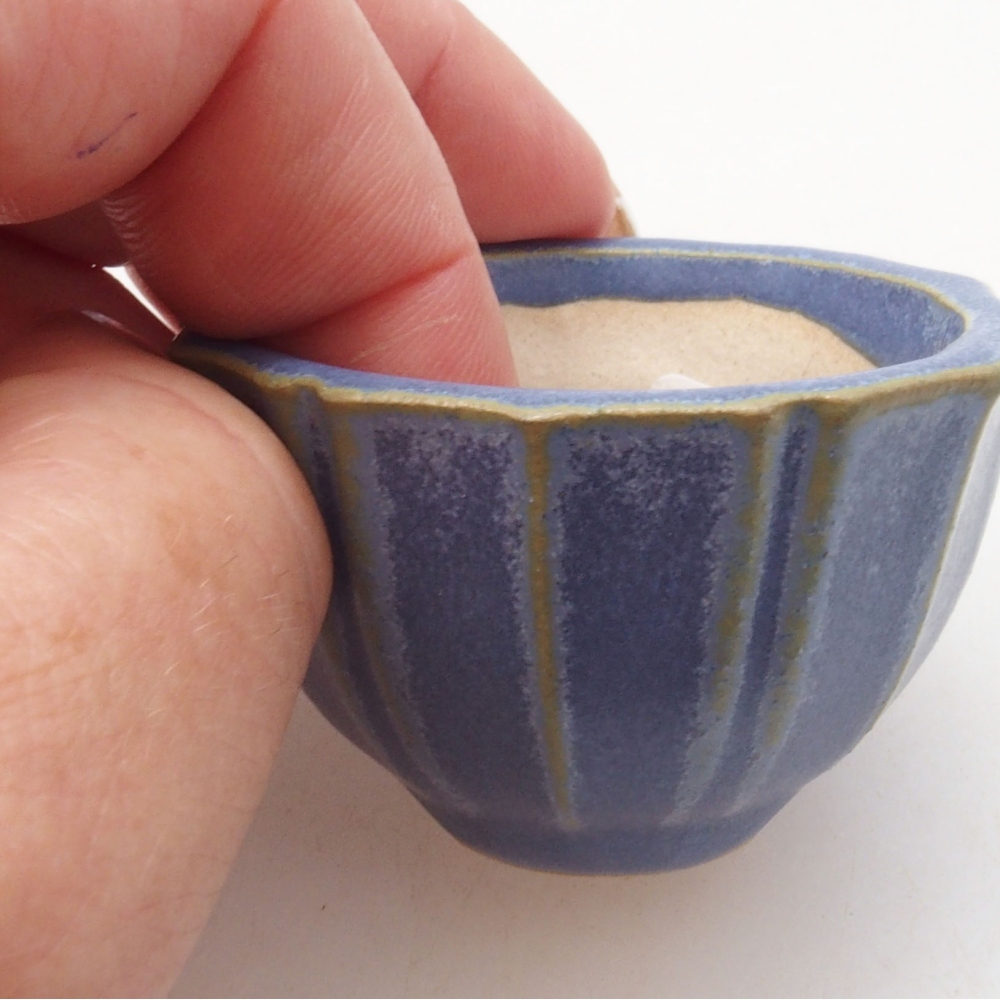 Mini-Bonsaischale 5 x 5 x 3 cm, blau