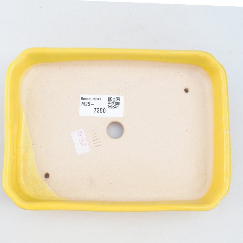 Bonsaischale aus Keramik 18,5 x 13,5 x 3,5 cm, gelb