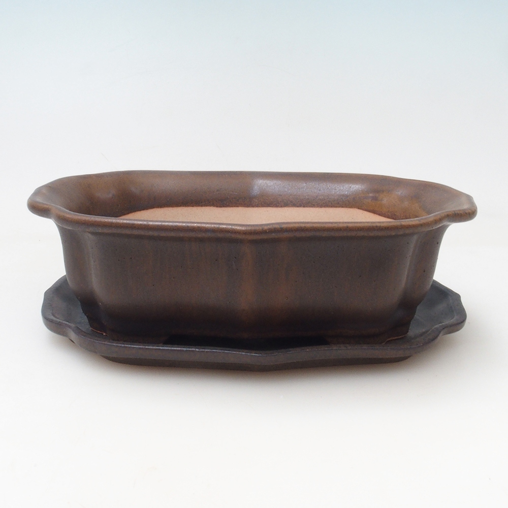 Bonsaischale + Untertasse H51 - 18x14x5 cm